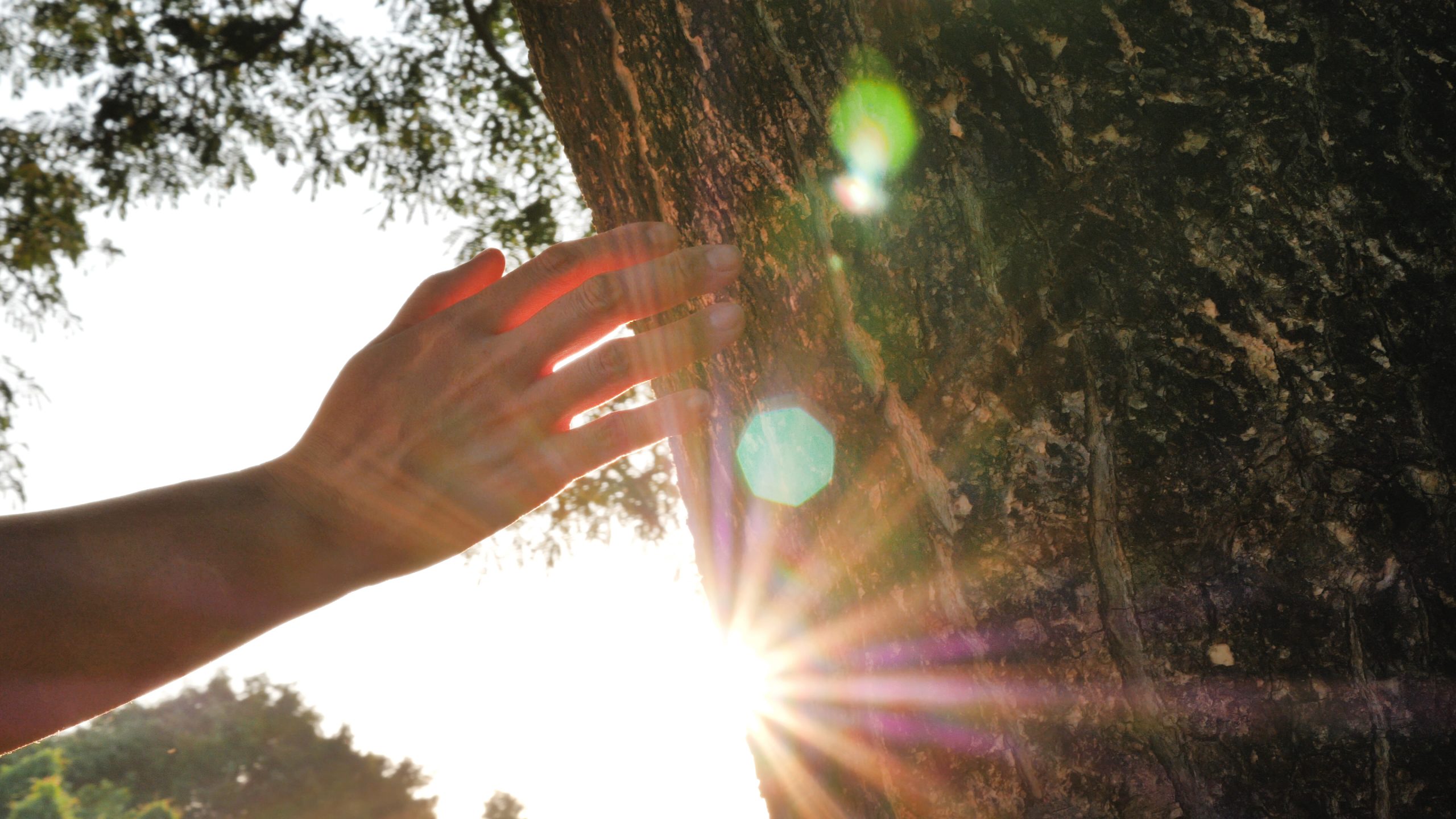 Le ondate di calore sono un problema anche sociale